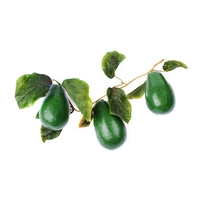 Ветка муляжей "Авокадо" - fgospostavki.ru - Рязань