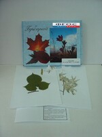 Гербарий "Медоносные растения" (24 вида) - fgospostavki.ru - Рязань