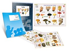 Комплект кодотранспарантов "Грибы" - fgospostavki.ru - Рязань