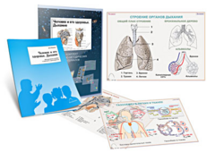 Комплект кодотранспарантов "Человек и его здоровье. Дыхание" - fgospostavki.ru - Рязань