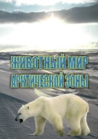 DVD "Животный мир Арктической зоны" - fgospostavki.ru - Рязань