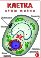 DVD "Клетка - "атом жизни" - fgospostavki.ru - Рязань