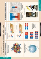 Комплект таблиц. Физика. Магнитное поле. - fgospostavki.ru - Рязань