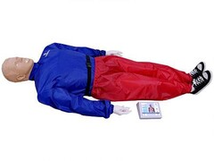 "Александр-04" тренажер-манекен взрослого пострадавшего для отработки приемов сердечно-легочной реанимации (голова, туловище, конечности) с контроллером - fgospostavki.ru - Рязань