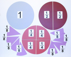 Набор магнитных карточек "Доли и дроби - 1" - fgospostavki.ru - Рязань