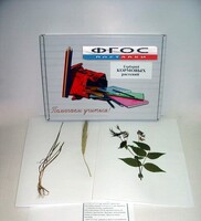 Гербарий "Кормовые растения" (20 видов) - fgospostavki.ru - Рязань