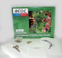 Гербарий "Основные группы растений" (52 листа) - fgospostavki.ru - Рязань