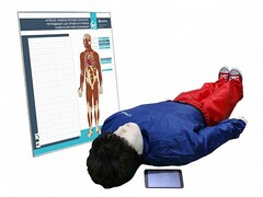 "Игорь-02" манекен-тренажер взрослого пострадавшего для отработки приемов сердечно-легочной реанимации (голова, туловище, конечности) с беспроводным планшетным компьютером и настенным анатомическим табло - fgospostavki.ru - Рязань