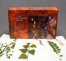 Гербарий для Начальной школы (28 видов) - fgospostavki.ru - Рязань