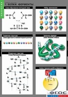 Комплект таблиц. Биология. Химия клетки. - fgospostavki.ru - Рязань