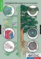 Комплект таблиц. Биология. Растение – живой организм. - fgospostavki.ru - Рязань