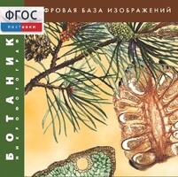 Ботаника. Микрофотографии. (Цифровая база изображений) - fgospostavki.ru - Рязань
