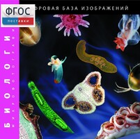 Биология. Микрофотографии. (Цифровая база изображений) - fgospostavki.ru - Рязань