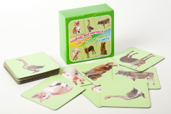 Набор магнитных карточек "Устный счет" (фон зеленый) - fgospostavki.ru - Рязань