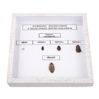 Коллекция "Развитие насекомых с неполным превращением" - fgospostavki.ru - Рязань