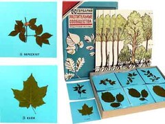 Гербарий "Растительные сообщества" - fgospostavki.ru - Рязань