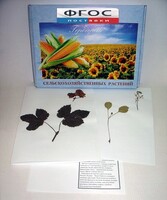 Гербарий "Сельскохозяйственные растения" (28 видов) - fgospostavki.ru - Рязань