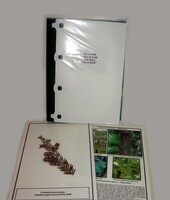 Гербарий "Эволюция высших растений" (ламинированный) - fgospostavki.ru - Рязань