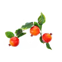 Ветка муляжей "Гранат" - fgospostavki.ru - Рязань