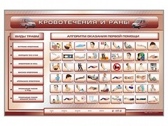 Трехсекционный базовый комплект "Травмы. Кровотечения. Ожоги" для учащихся общеобразовательных учреждений - fgospostavki.ru - Рязань