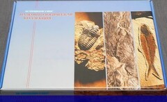 Коллекция "Палеонтологическая" (16 образцов) - fgospostavki.ru - Рязань