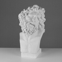 Бюст Лаокоона (гипс) - fgospostavki.ru - Рязань