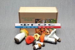 Набор муляжей грибов - fgospostavki.ru - Рязань