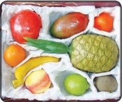 Набор муляжей тропических фруктов - fgospostavki.ru - Рязань