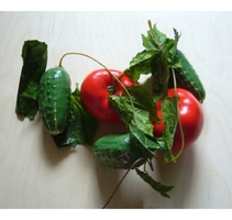 Ветка муляжей "Ассорти" (овощи) - fgospostavki.ru - Рязань