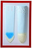 Барельефная модель "Клеточное строение корня" - fgospostavki.ru - Рязань