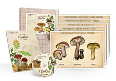 Комбинированное наглядное пособие  «Грибы» - fgospostavki.ru - Рязань