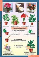 Комплект таблиц. Окружающий мир 1 класс. - fgospostavki.ru - Рязань