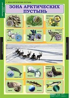 Комплект таблиц. Окружающий мир 4 класс. - fgospostavki.ru - Рязань