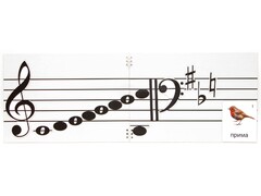 Настольное мягкое магнитно-маркерное поле с нотным станом - fgospostavki.ru - Рязань