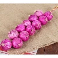 Муляжи "Связка лука" - fgospostavki.ru - Рязань