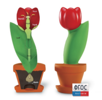 Модель цветка - fgospostavki.ru - Рязань