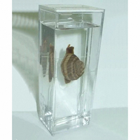 Влажный препарат "Виноградная улитка"	 - fgospostavki.ru - Рязань