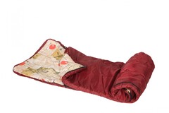 Спальный мешок (+10...+20°) (вариант 3) - fgospostavki.ru - Рязань