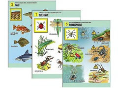 Комплект таблиц "Окружающий мир. Животный мир" (8 таблиц, А1, ламинированные) - fgospostavki.ru - Рязань