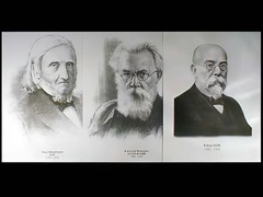 Портреты биологов (26 штук, формат А3) - fgospostavki.ru - Рязань