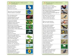 Комплект карточек (10) "Обучающий калейдоскоп. Природа" - fgospostavki.ru - Рязань