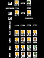 Модель-аппликация "Дигибридное скрещивание" (ламинированная) - fgospostavki.ru - Рязань