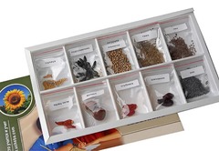 Коллекция "Плоды сельскохозяйственных растений" - fgospostavki.ru - Рязань