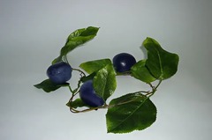 Ветка муляжей "Слива" - fgospostavki.ru - Рязань