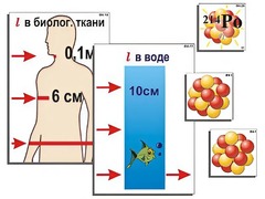 Модель-аппликация "Явление радиоактивности" (ламинированная) - fgospostavki.ru - Рязань