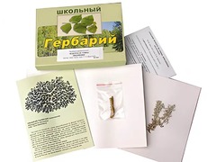 Гербарий "Водоросли. Грибы. Лишайники" (раздаточный) - fgospostavki.ru - Рязань