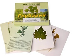 Гербарий "Систематика растений. Высшие споровые и семенные" (раздаточный) - fgospostavki.ru - Рязань