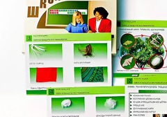 Коллекция "Шелк и продукты его переработки" (средняя школа) - fgospostavki.ru - Рязань