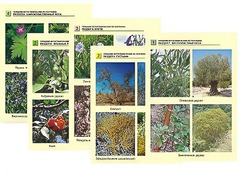 Гербарий фотографический по географии - fgospostavki.ru - Рязань