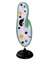 Модель инфузории-туфельки - fgospostavki.ru - Рязань